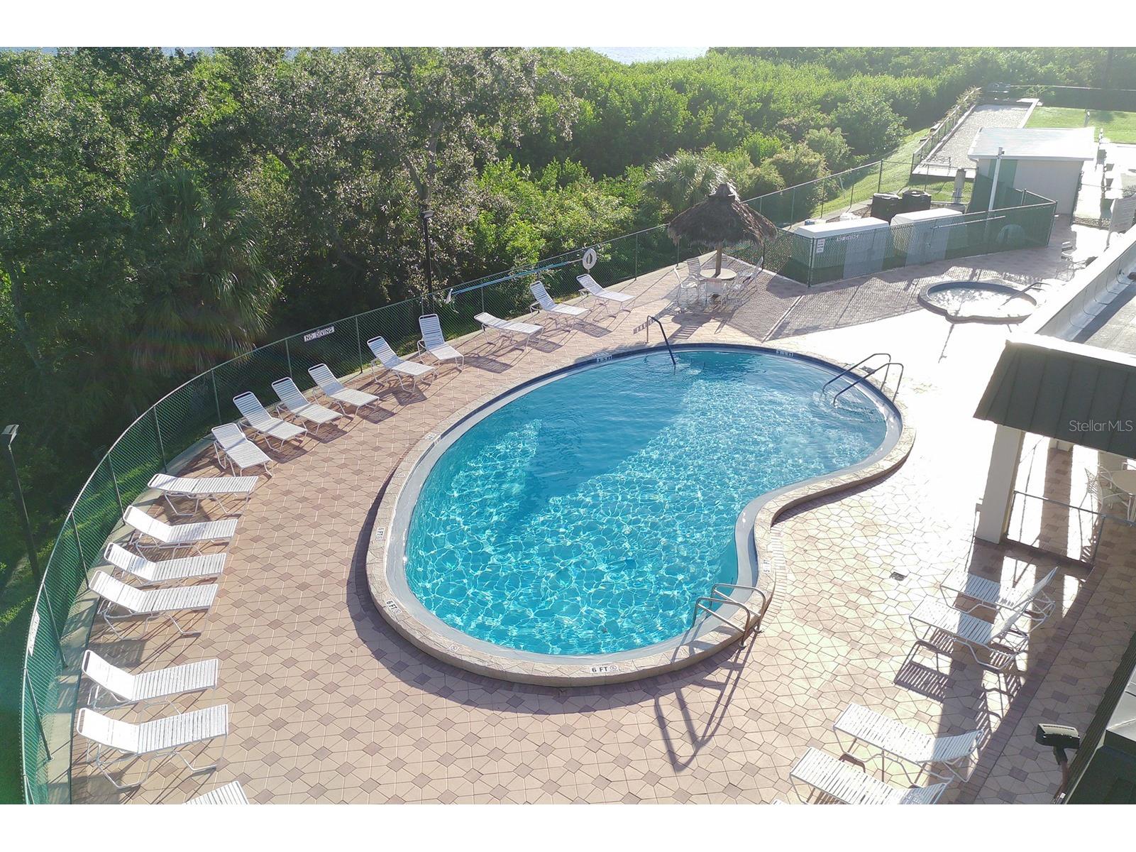 172 Clubview Drive #5 Safety Harbor FL 34695 TB8473246 image26