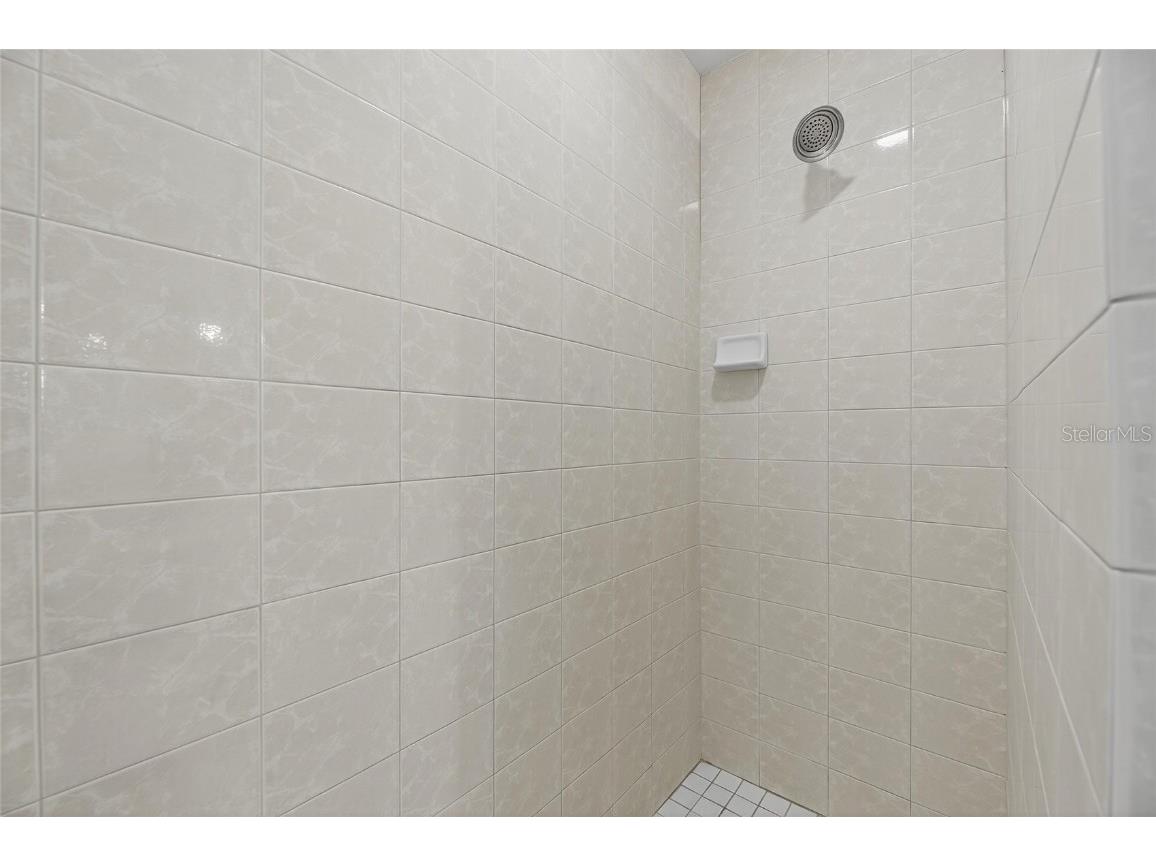 172 Lake Shore Drive W Palm Harbor FL 34684 - LAKE TARPON TB8444908 image27