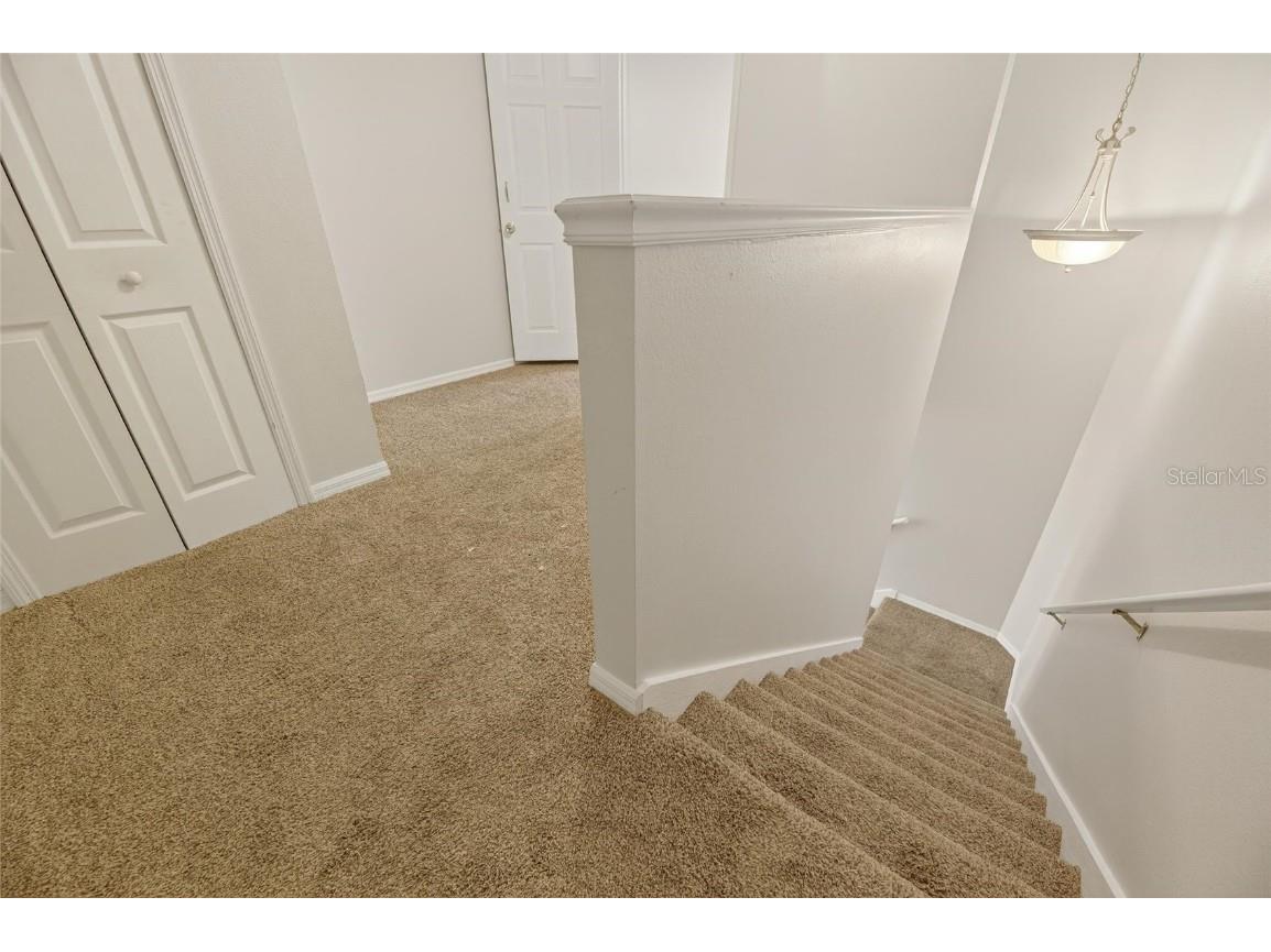 172 Lake Shore Drive W Palm Harbor FL 34684 - LAKE TARPON TB8444908 image42