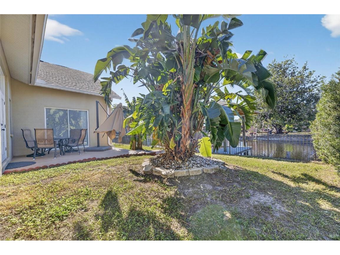 172 Lake Shore Drive W Palm Harbor FL 34684 - LAKE TARPON TB8444908 image50