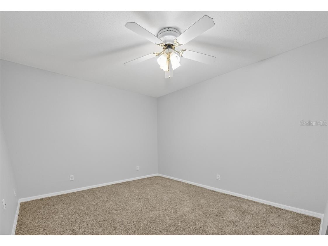 172 Lake Shore Drive W Palm Harbor FL 34684 TB8452362 image65