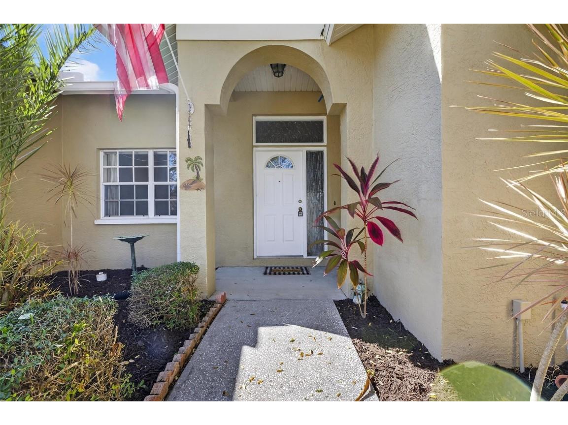 172 Lake Shore Drive W Palm Harbor FL 34684 TB8452362 image8