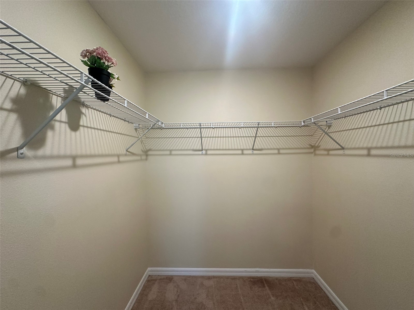 172 Primrose Drive Davenport FL 33837 O6422783 image19