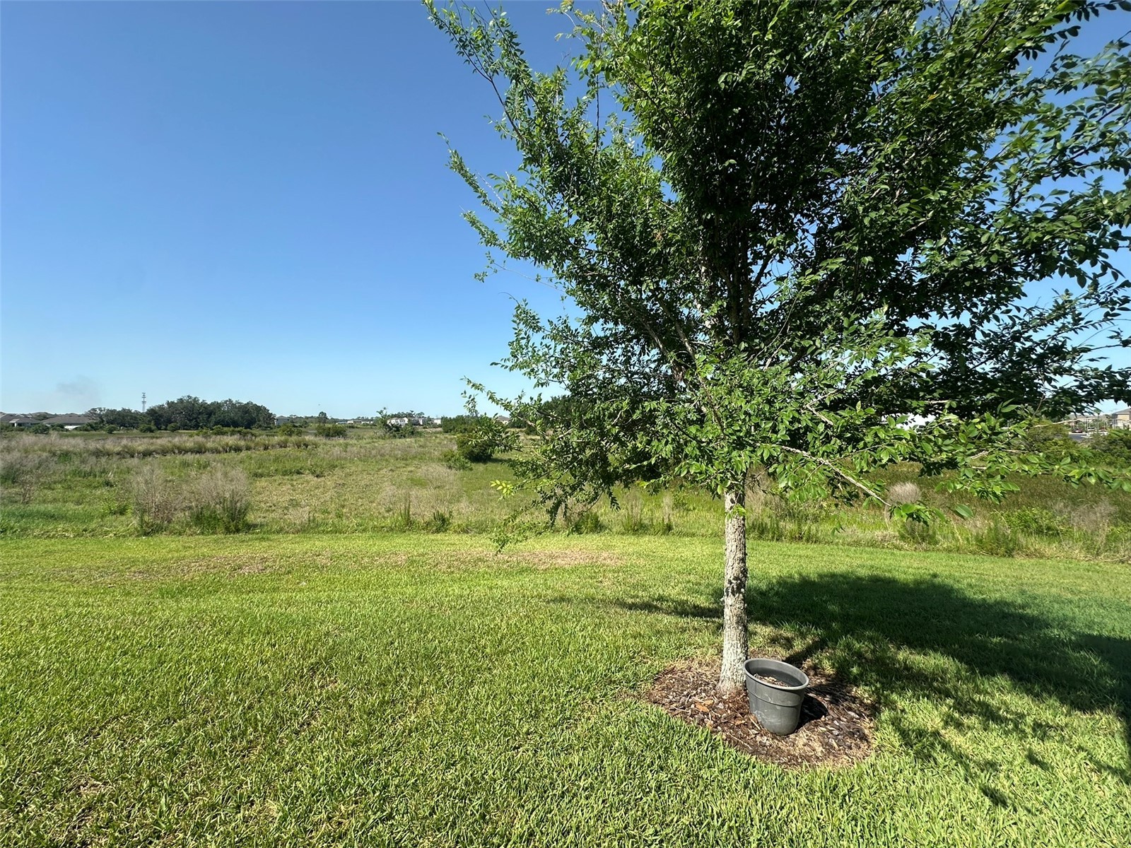 172 Primrose Drive Davenport FL 33837 O6422783 image29