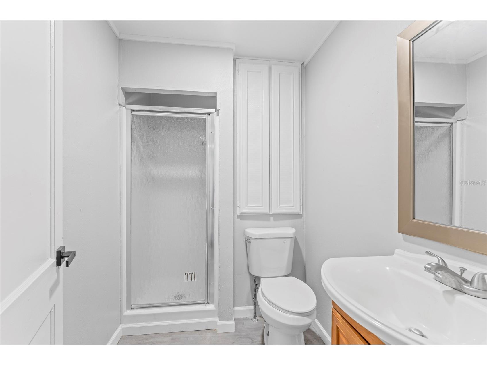 172 SE Saint Margarets Street Lake City FL 32025 OM714901 image29