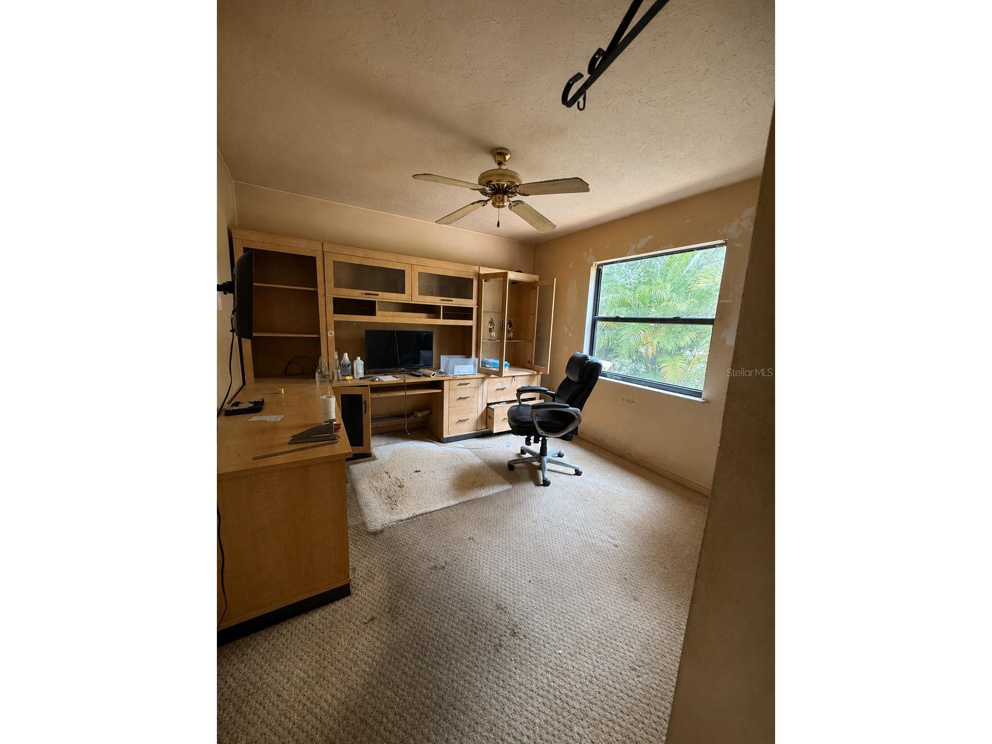 172 Shady Pine Lane Nokomis FL 34275 A4695817 image11