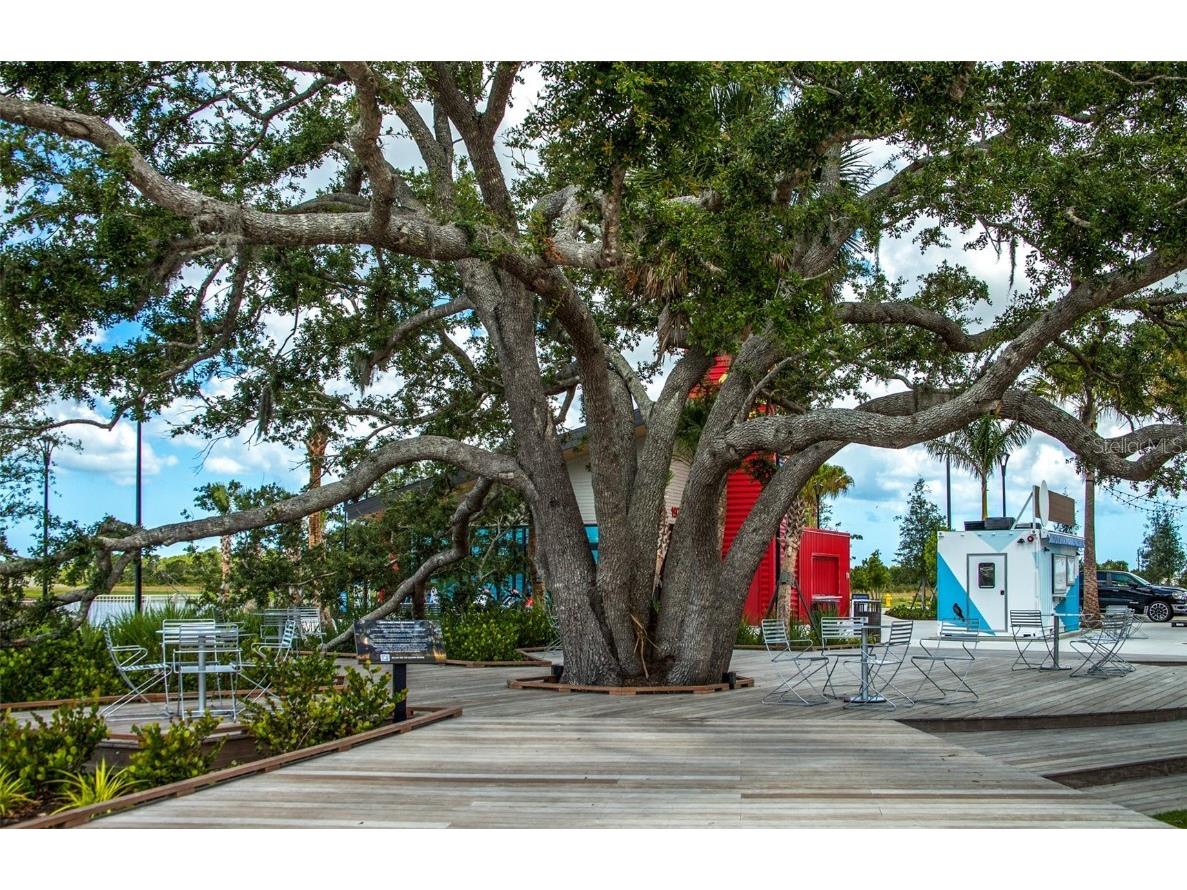 172 Southampton Place #346 Venice FL 34293 N6135073 image41