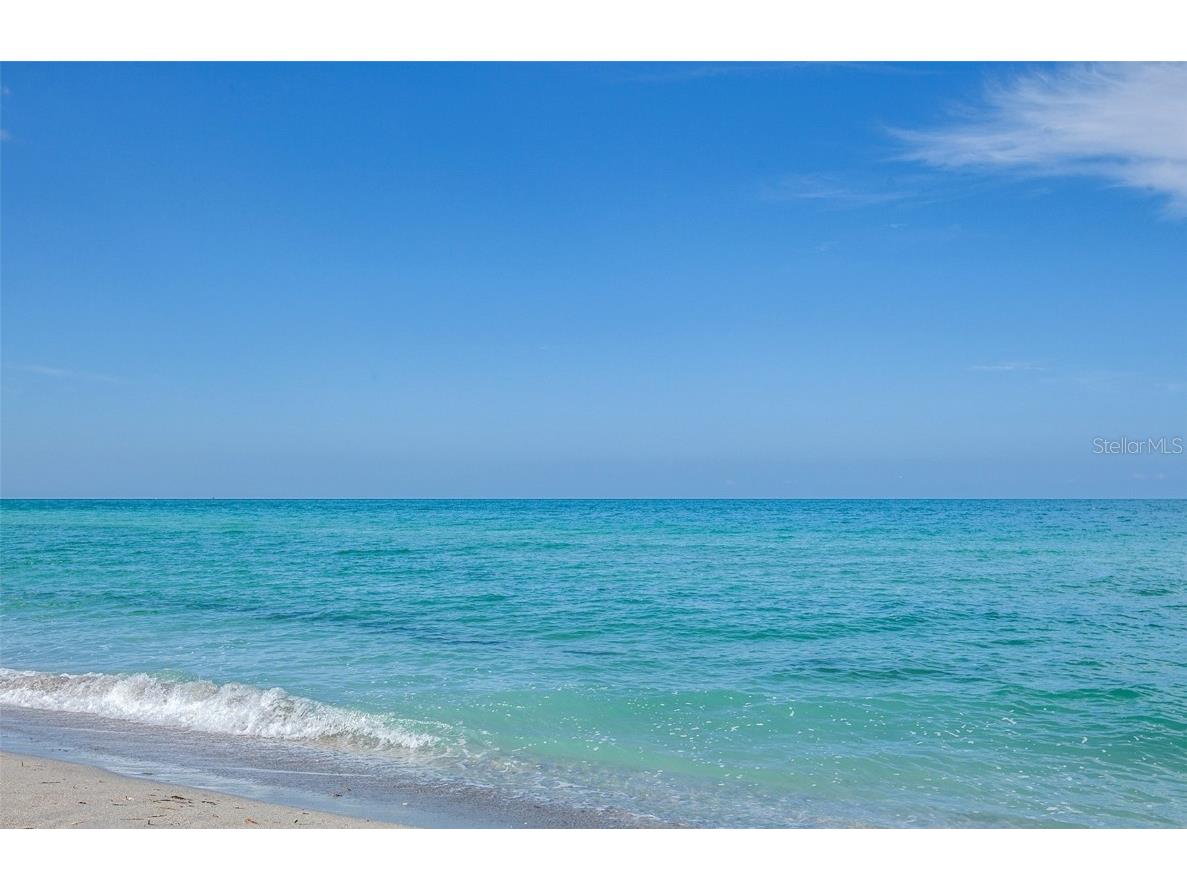 172 Southampton Place #346 Venice FL 34293 N6135073 image48