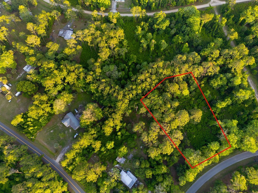 172 Whispering Pines Road Georgetown FL 32139 V4948730 image1