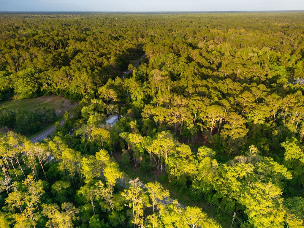 172 Whispering Pines Road Georgetown FL 32139 V4948730 image11