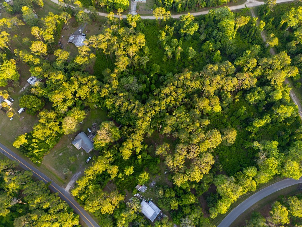172 Whispering Pines Road Georgetown FL 32139 V4948730 image2