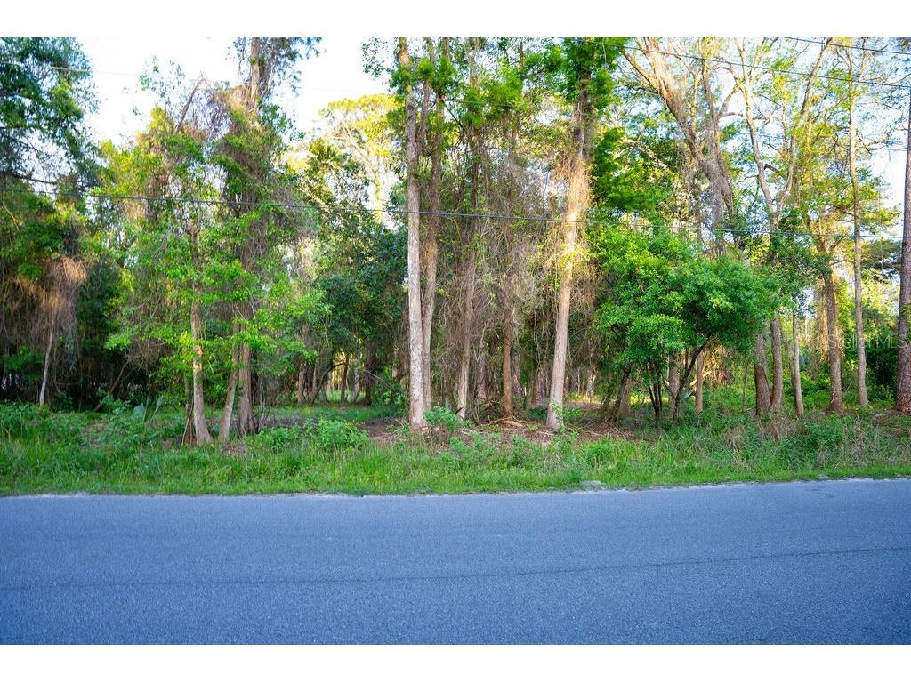 172 Whispering Pines Road Georgetown FL 32139 V4948730 image3