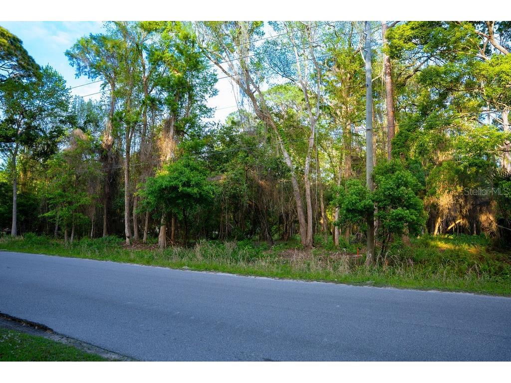 172 Whispering Pines Road Georgetown FL 32139 V4948730 image4