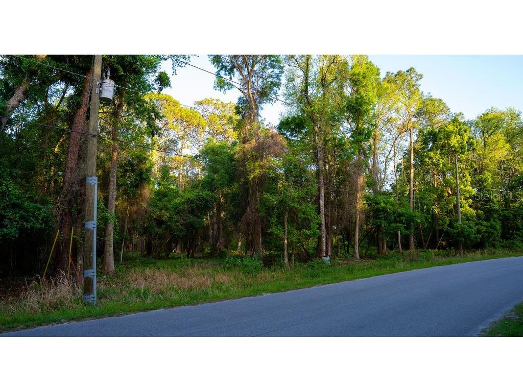 172 Whispering Pines Road Georgetown FL 32139 V4948730 image5