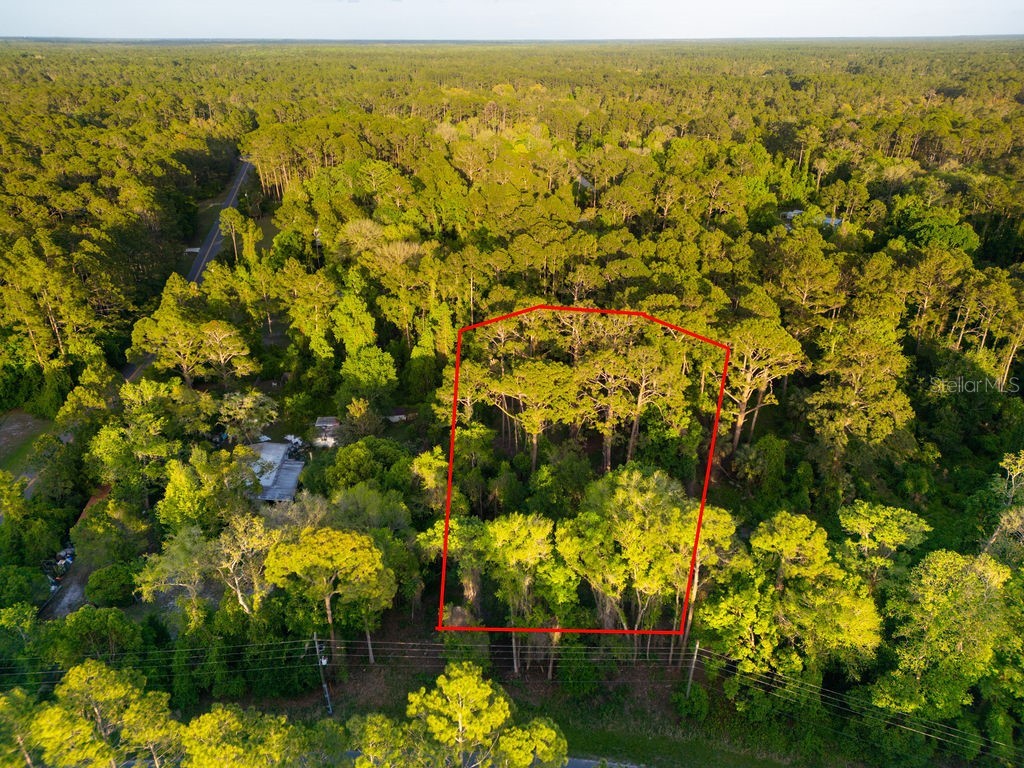 172 Whispering Pines Road Georgetown FL 32139 V4948730 image6