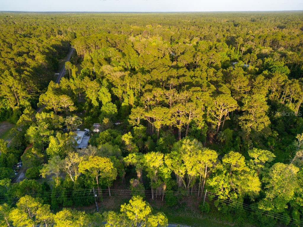 172 Whispering Pines Road Georgetown FL 32139 V4948730 image7