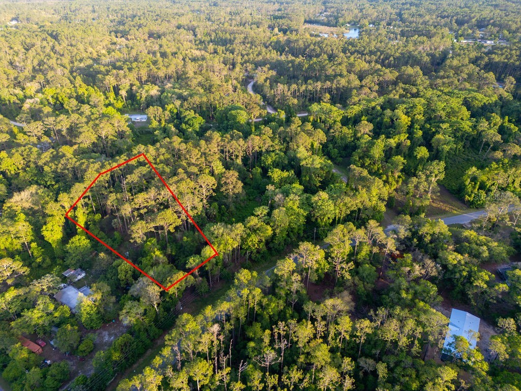 172 Whispering Pines Road Georgetown FL 32139 V4948730 image8