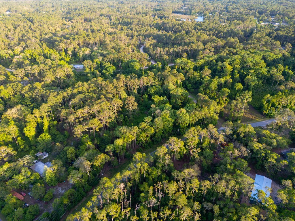 172 Whispering Pines Road Georgetown FL 32139 V4948730 image9