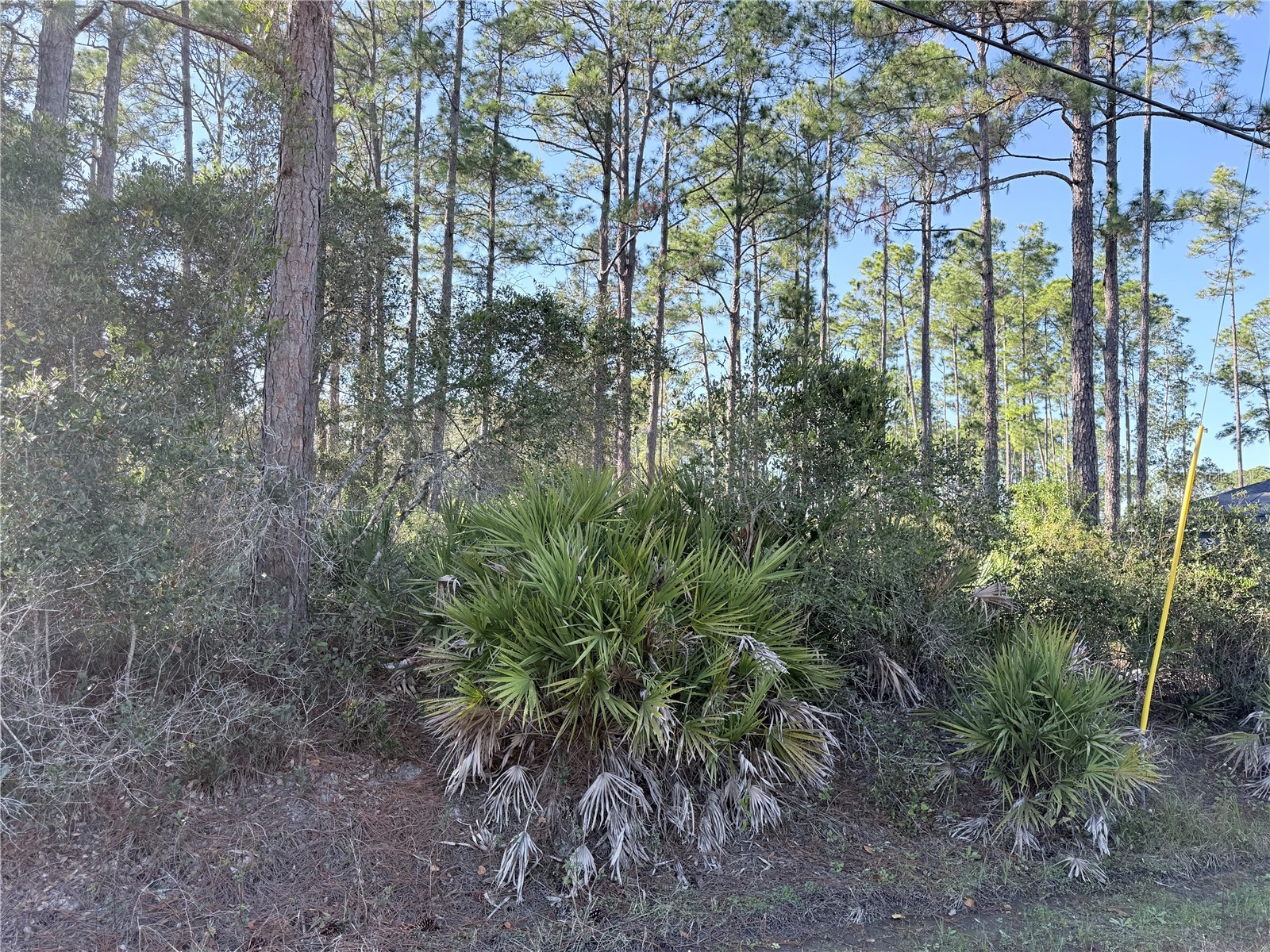 1720 10th Deland FL 32724 V4946225 image1