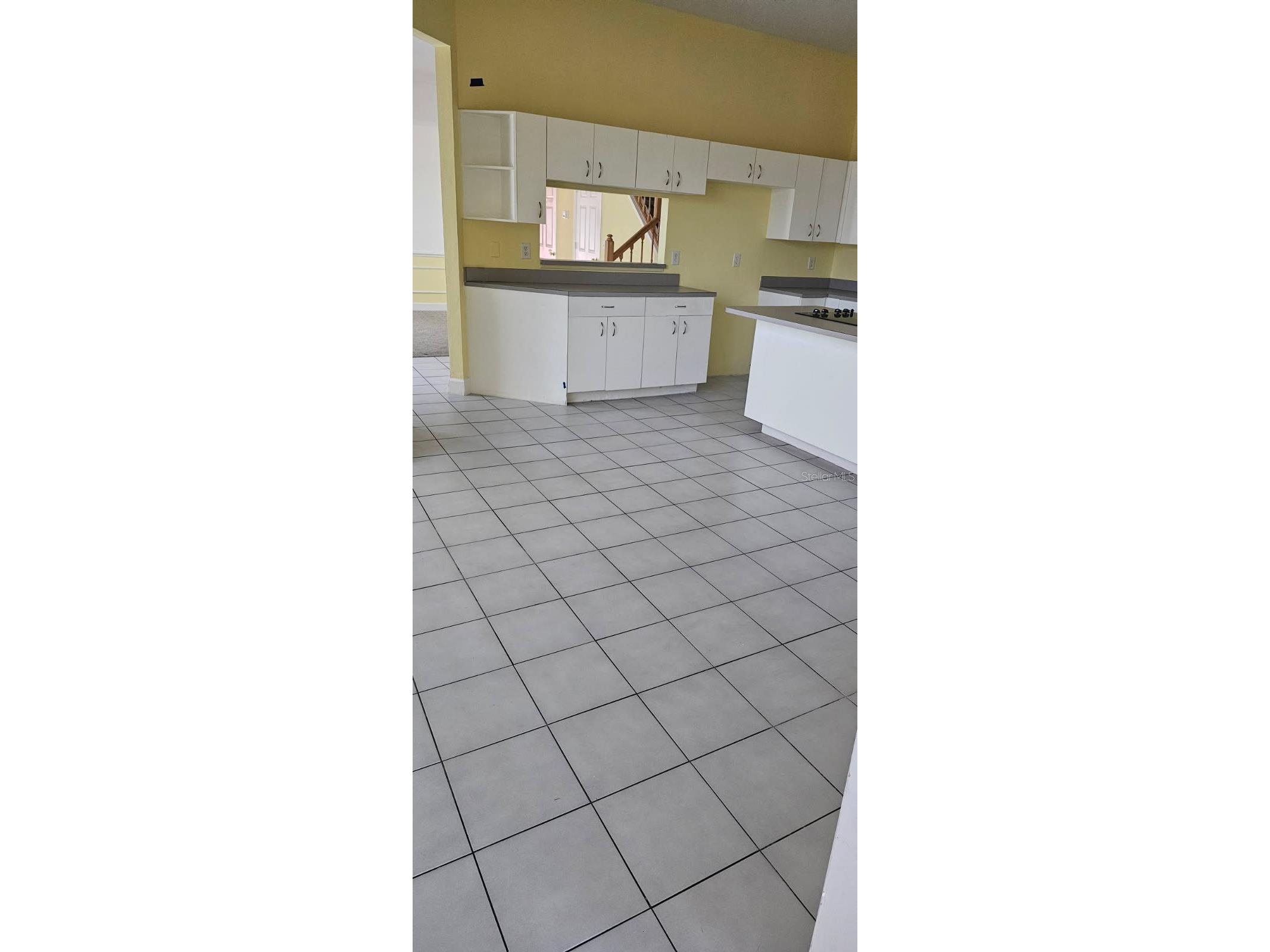 1720 Arabian Lane Palm Harbor FL 34685 S5146728 image11