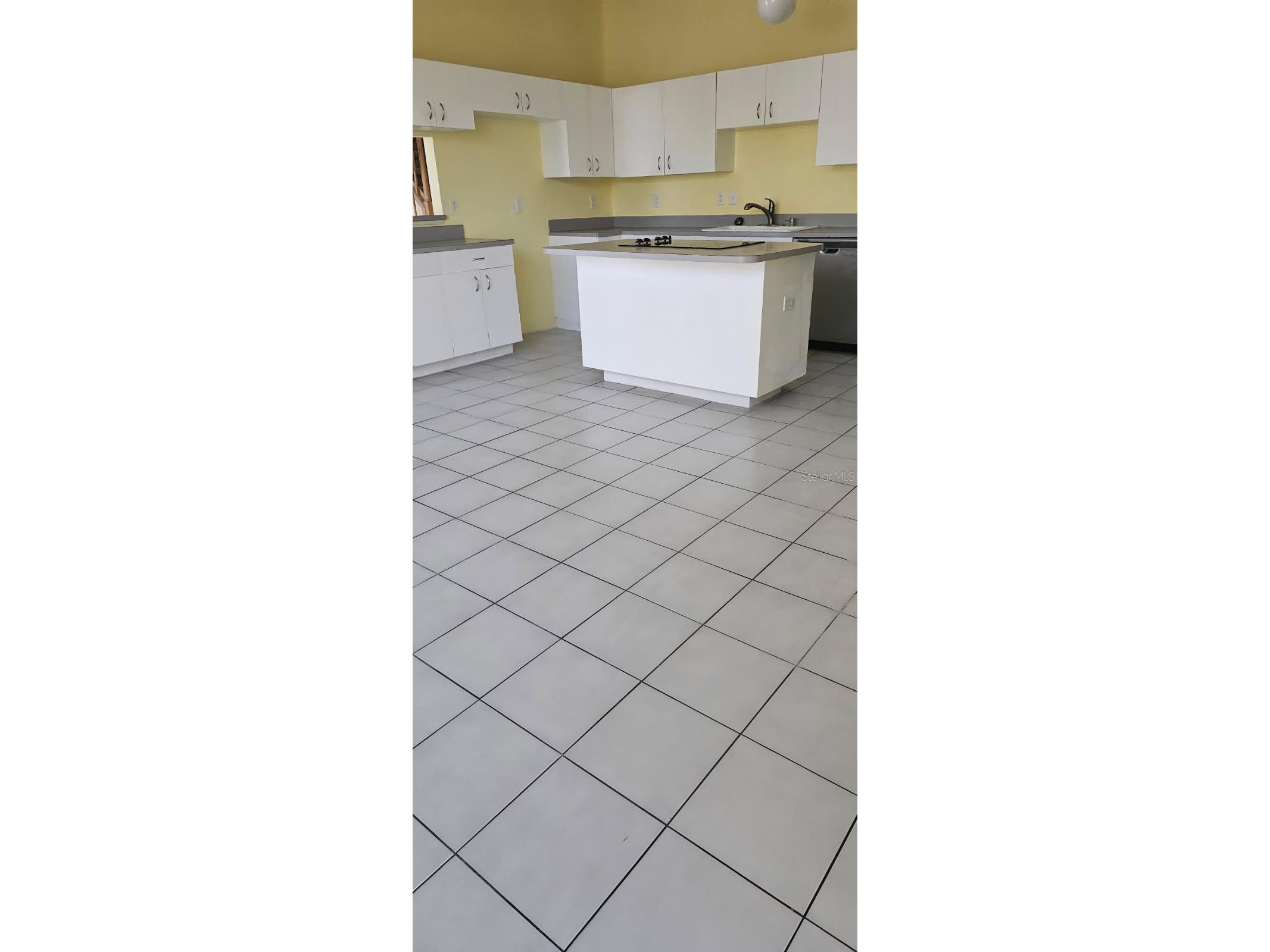 1720 Arabian Lane Palm Harbor FL 34685 S5146728 image12