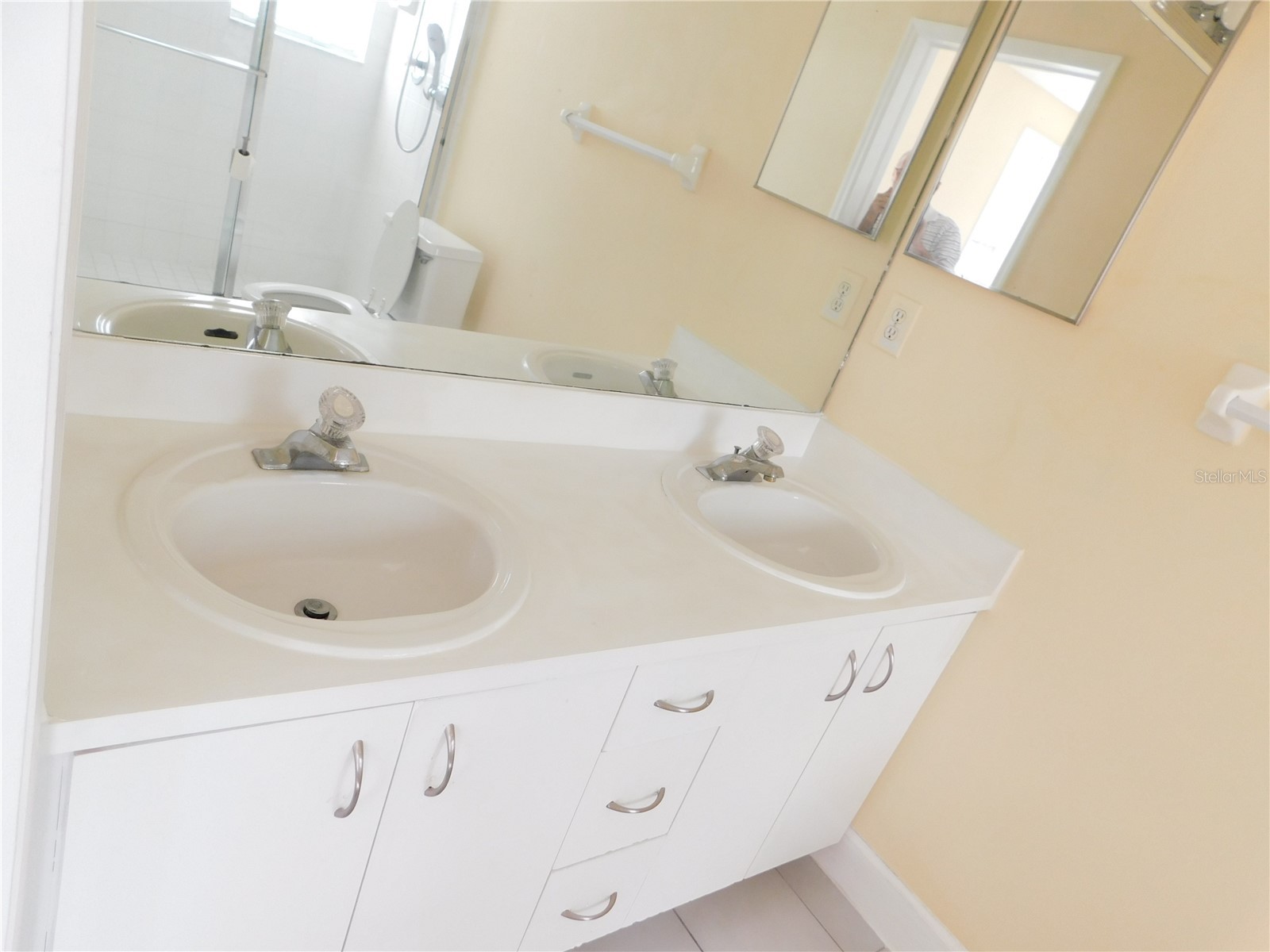 1720 Arabian Lane Palm Harbor FL 34685 S5146728 image26