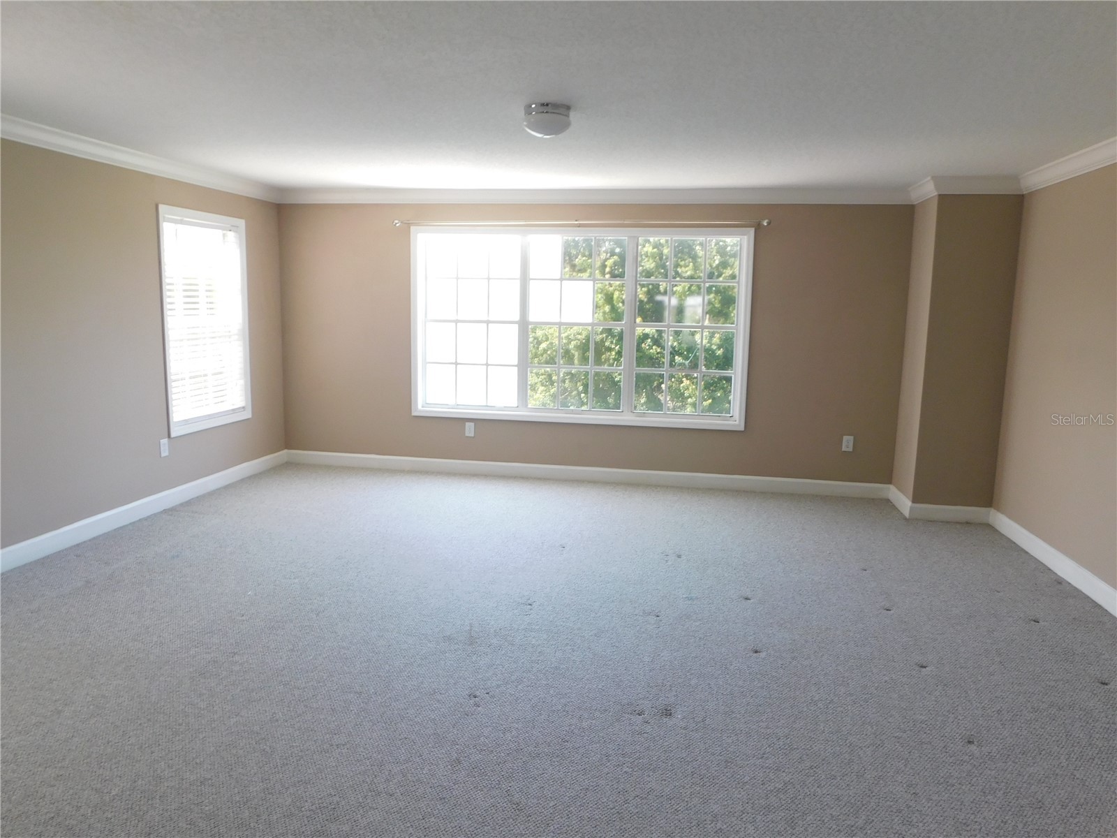 1720 Arabian Lane Palm Harbor FL 34685 S5146728 image33