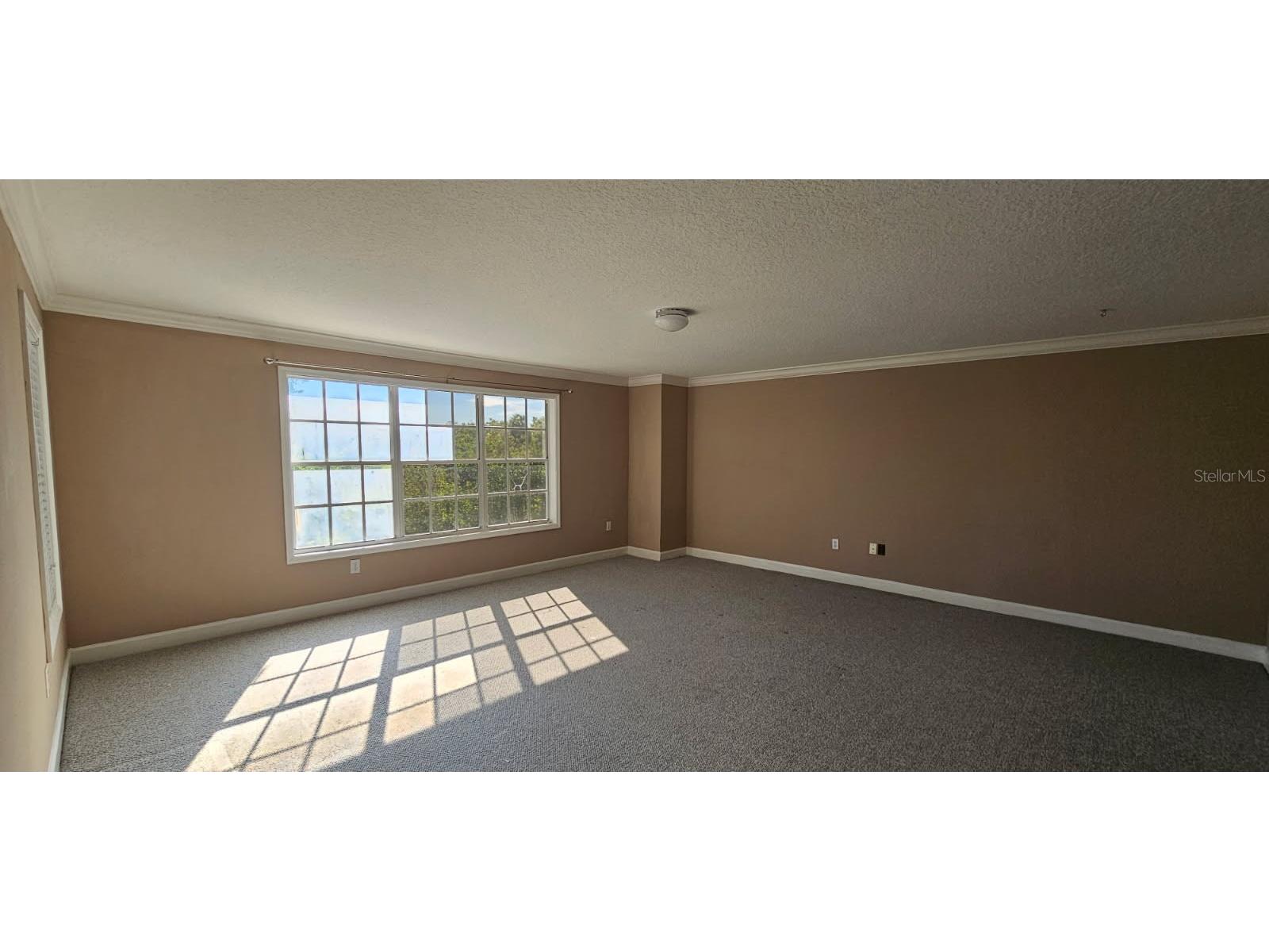 1720 Arabian Lane Palm Harbor FL 34685 S5146728 image34