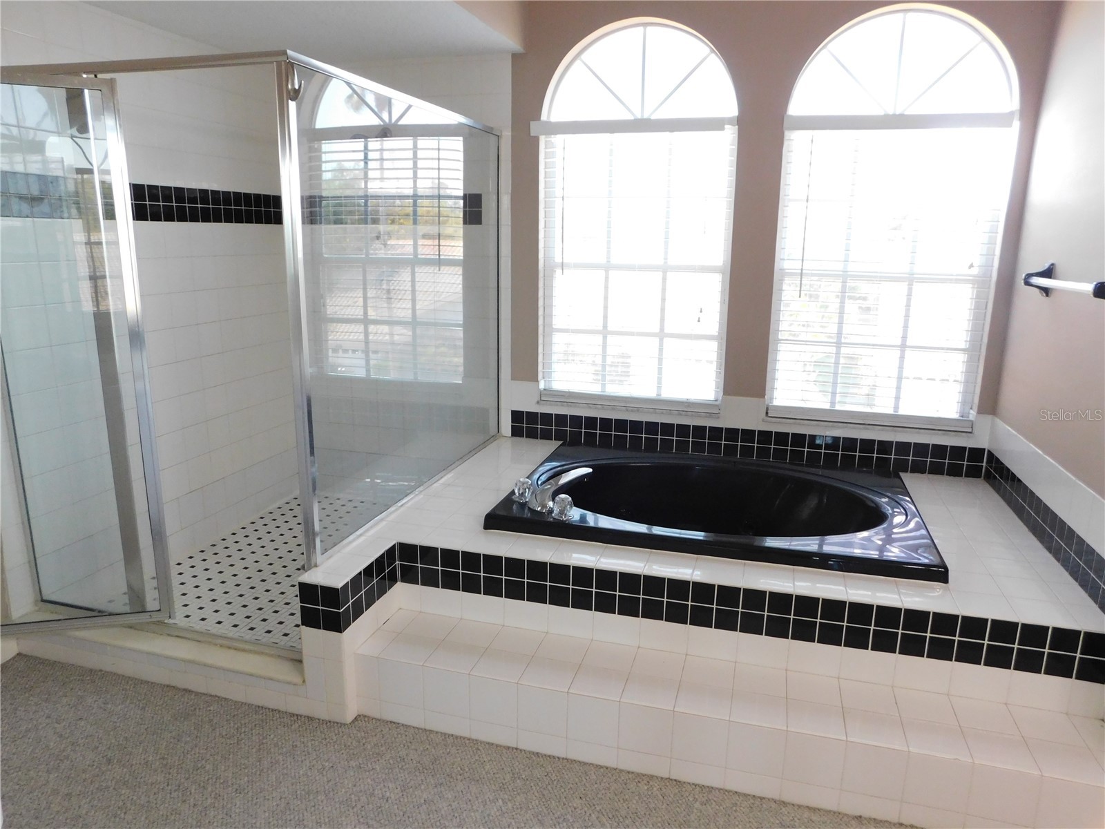 1720 Arabian Lane Palm Harbor FL 34685 S5146728 image39