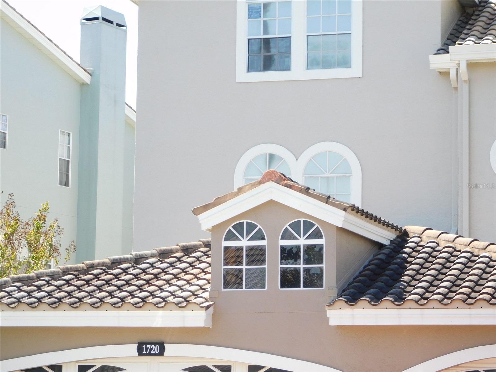 1720 Arabian Lane Palm Harbor FL 34685 S5146728 image4