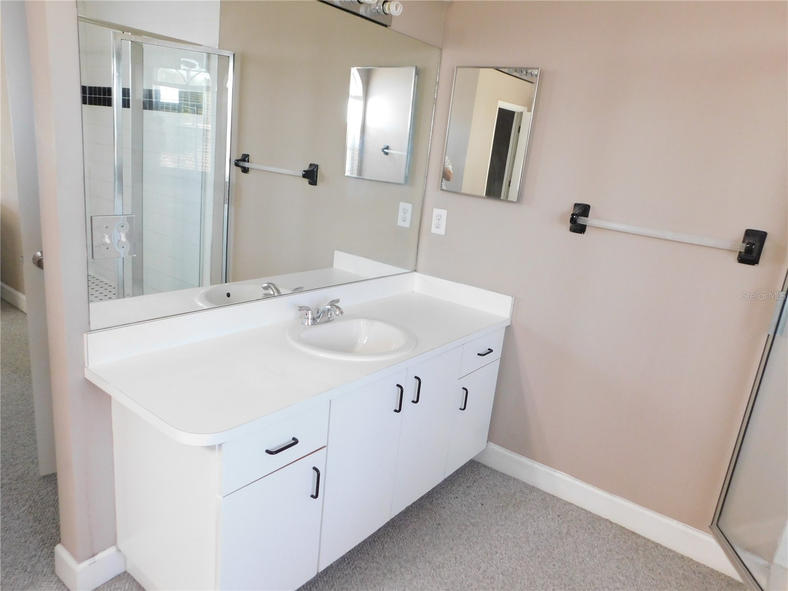 1720 Arabian Lane Palm Harbor FL 34685 S5146728 image40