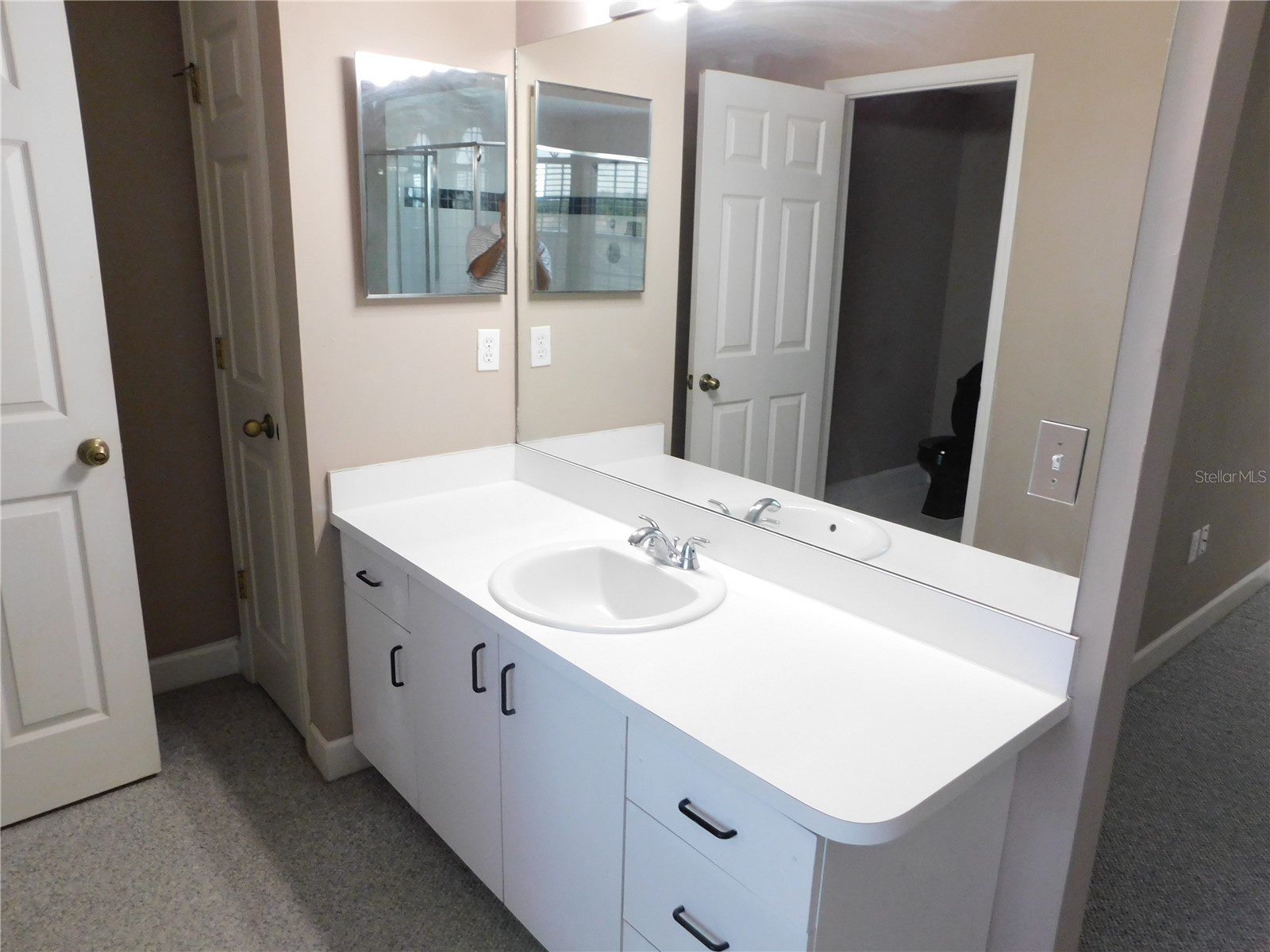 1720 Arabian Lane Palm Harbor FL 34685 S5146728 image41