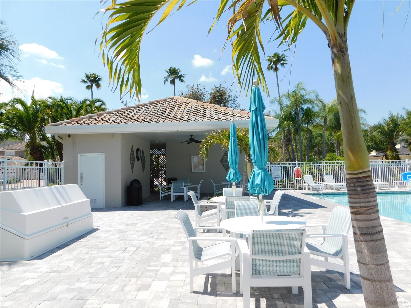 1720 Arabian Lane Palm Harbor FL 34685 S5146728 image47