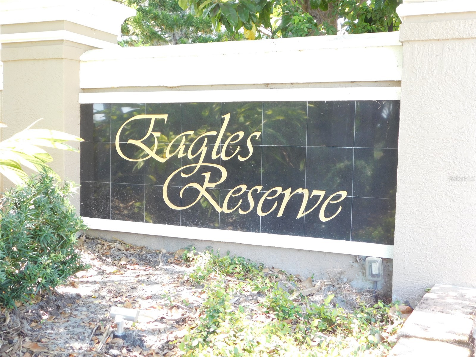1720 Arabian Lane Palm Harbor FL 34685 S5146728 image50