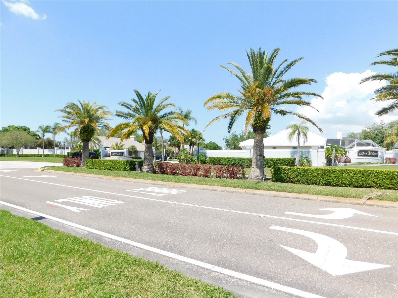 1720 Arabian Lane Palm Harbor FL 34685 S5146728 image51