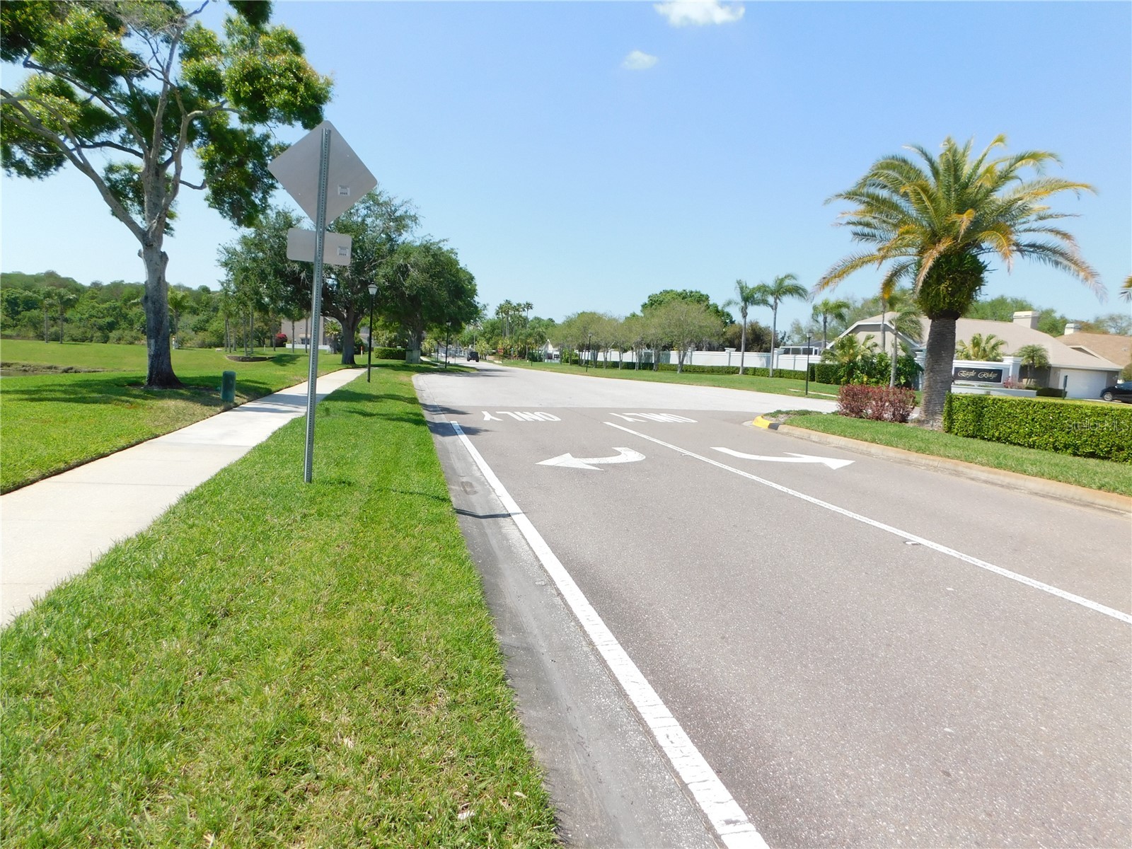 1720 Arabian Lane Palm Harbor FL 34685 S5146728 image52
