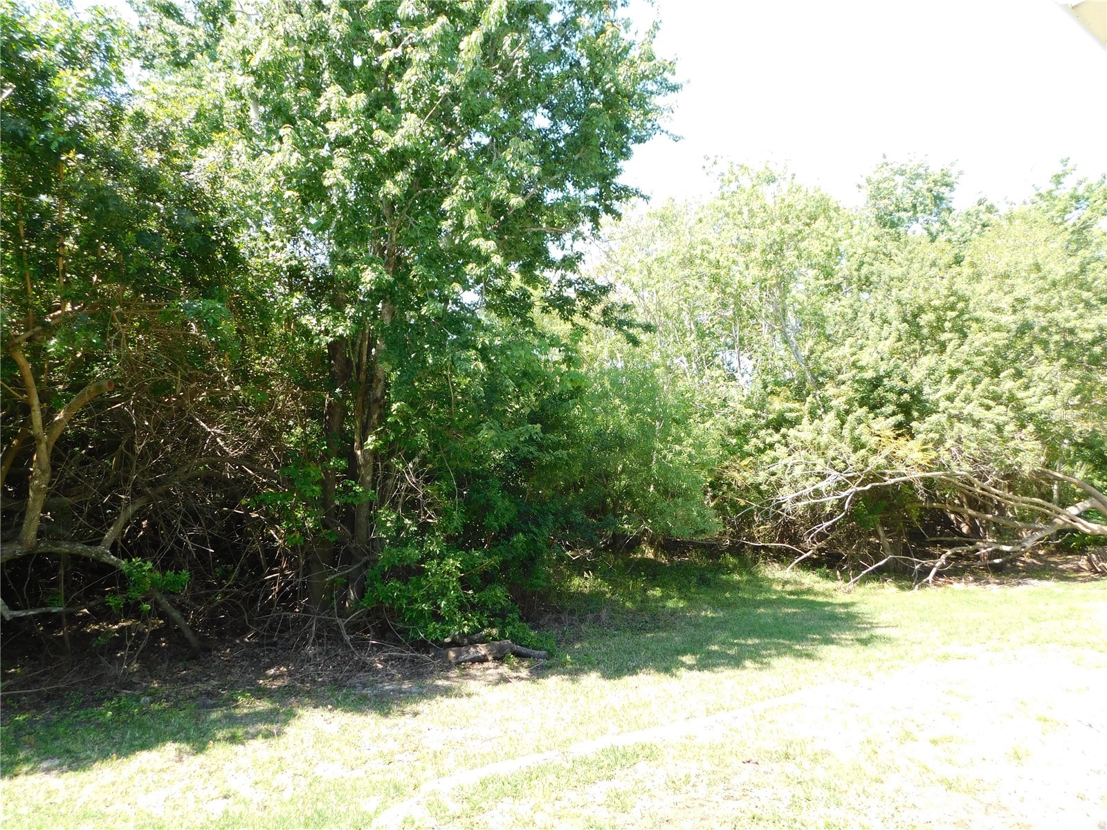 1720 Arabian Lane Palm Harbor FL 34685 S5146728 image6