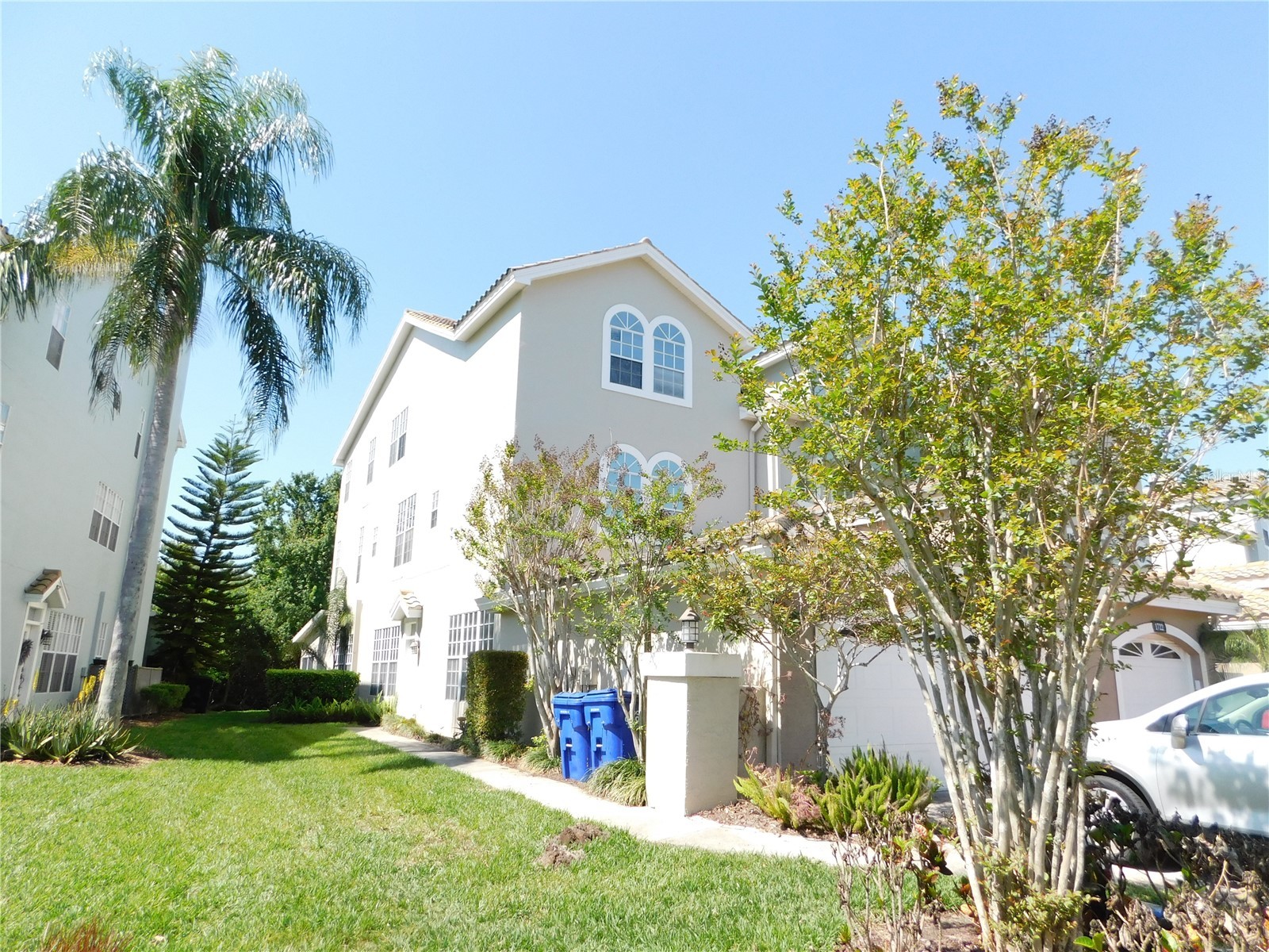 1720 Arabian Lane Palm Harbor FL 34685 S5146728 image8