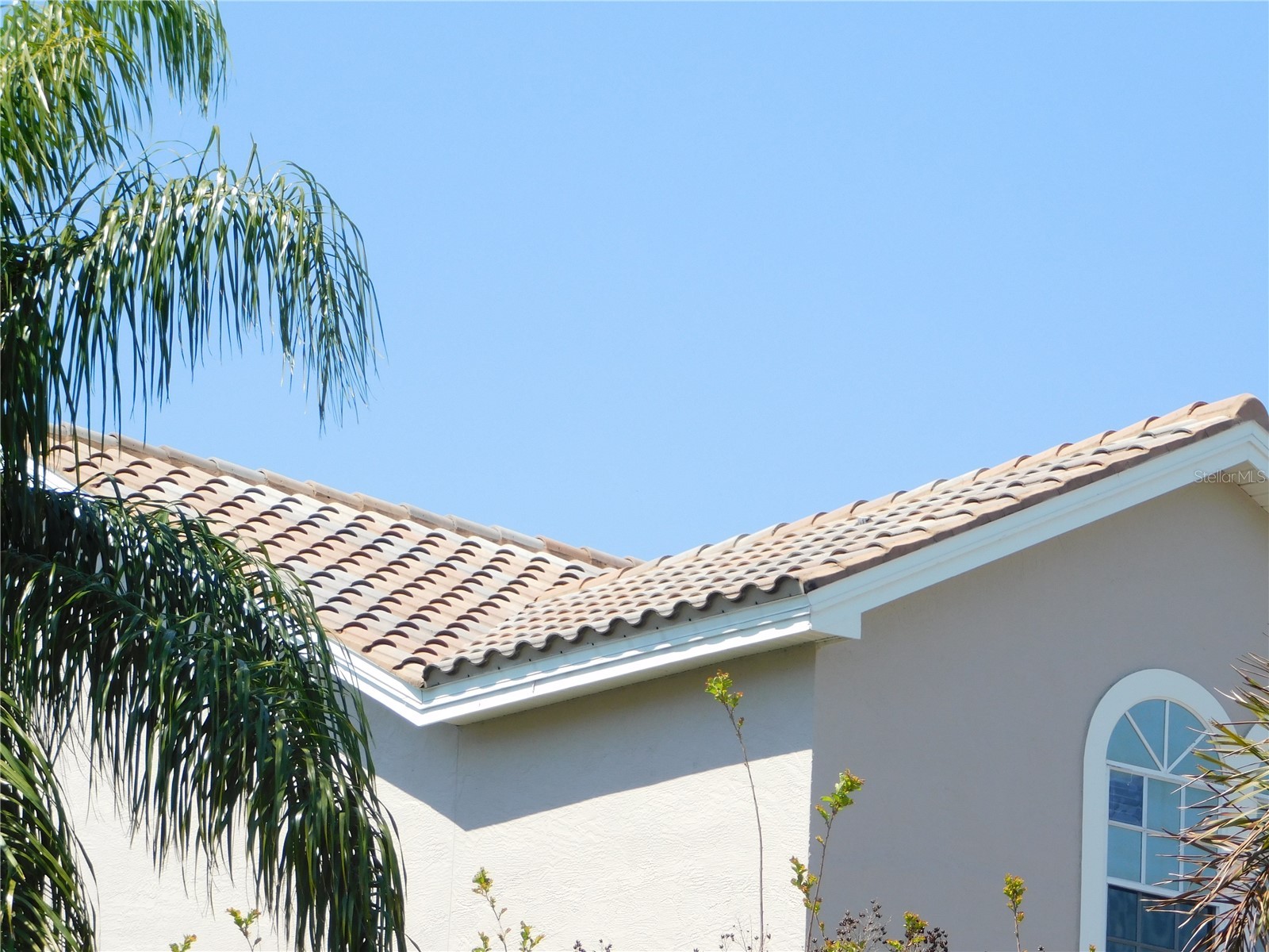 1720 Arabian Lane Palm Harbor FL 34685 S5146728 image9