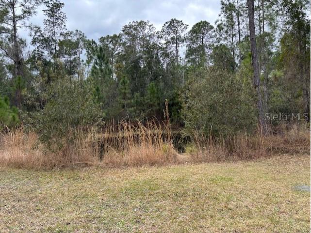1720 Cassidy Drive Saint Cloud FL 34771 S5144030 image37