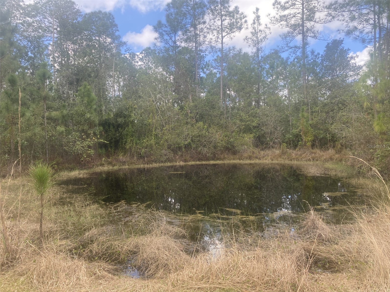 1720 Cassidy Drive Saint Cloud FL 34771 S5144030 image38