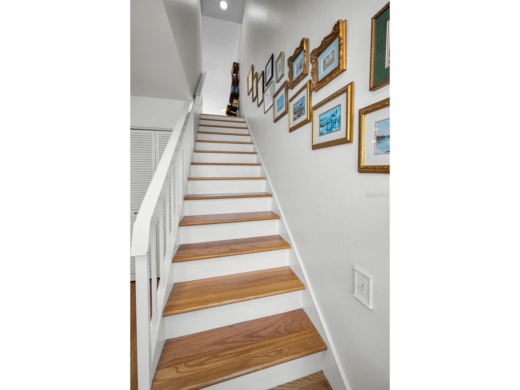 1720 Cypress Trace Drive Safety Harbor FL 34695 TB8506401 image31