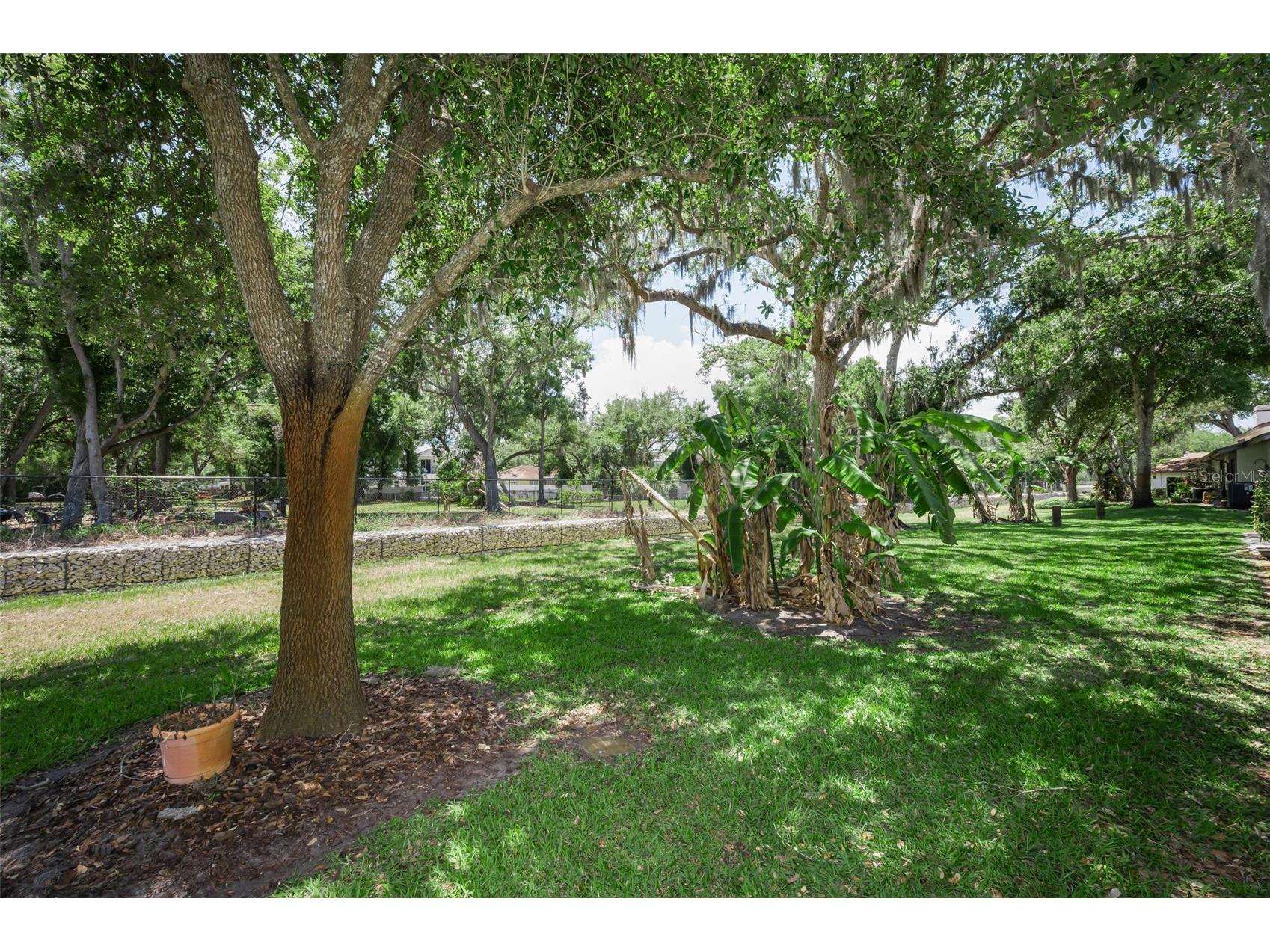 1720 Cypress Trace Drive Safety Harbor FL 34695 TB8506401 image52
