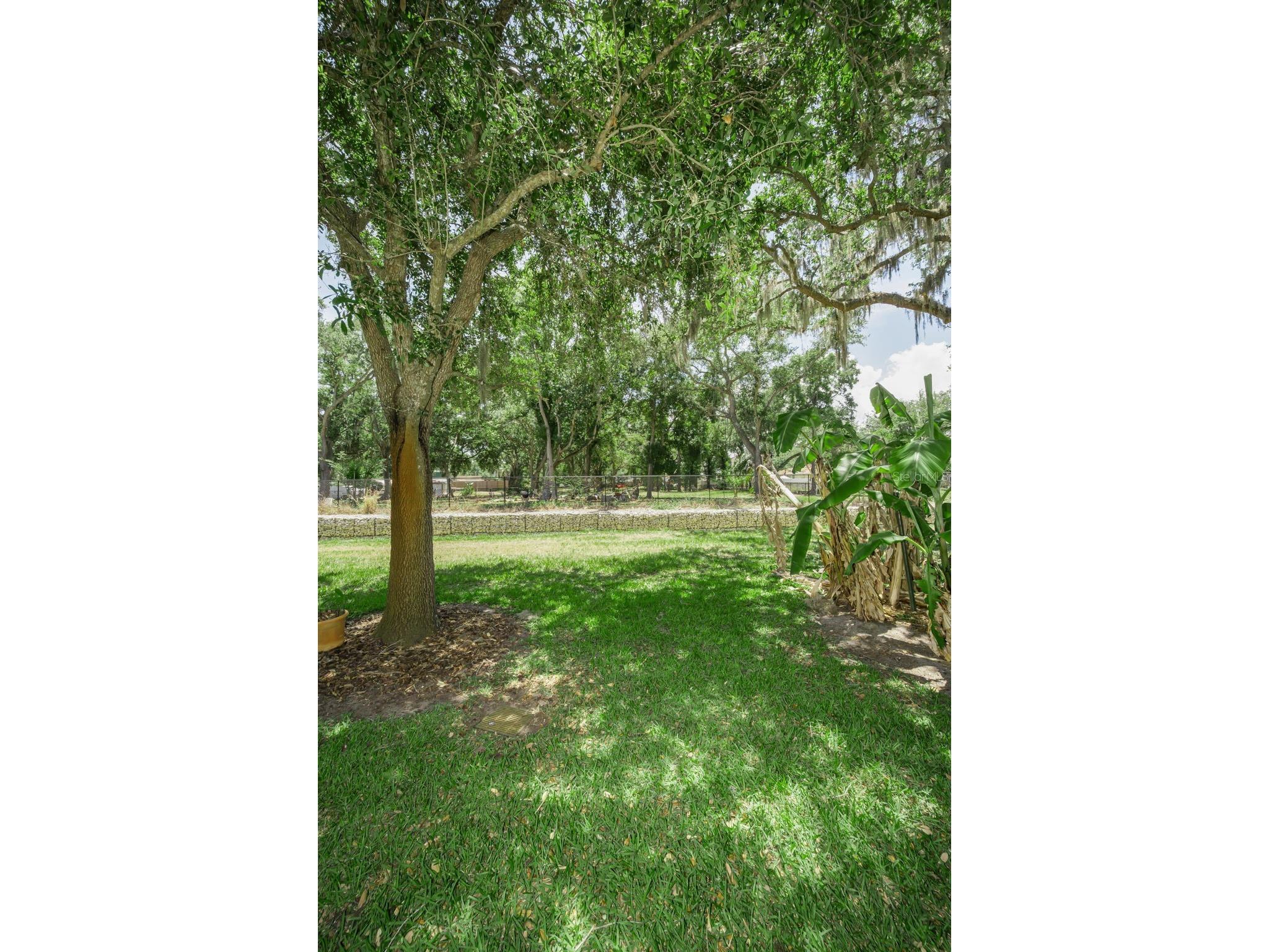 1720 Cypress Trace Drive Safety Harbor FL 34695 TB8506401 image53