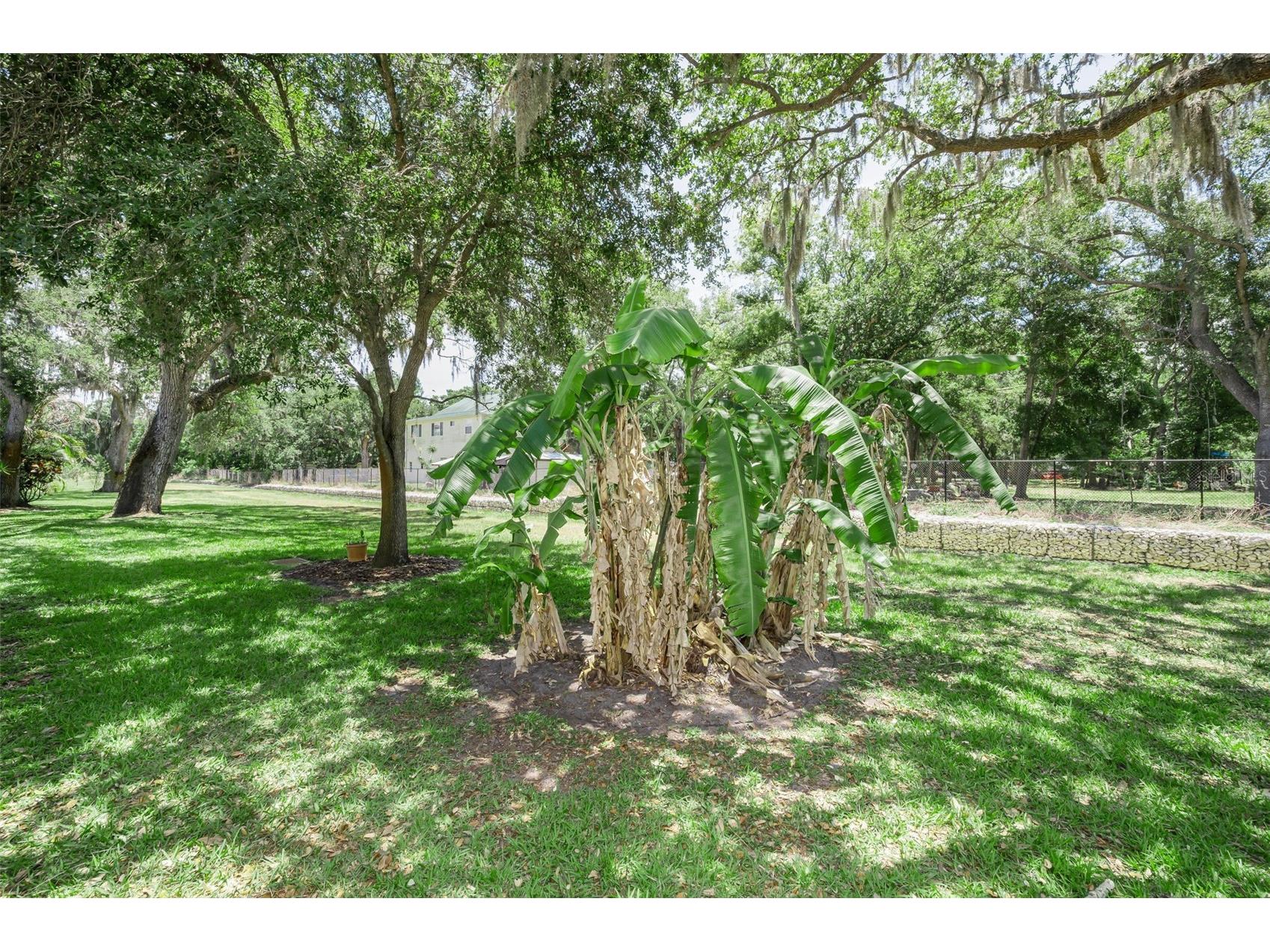 1720 Cypress Trace Drive Safety Harbor FL 34695 TB8506401 image54