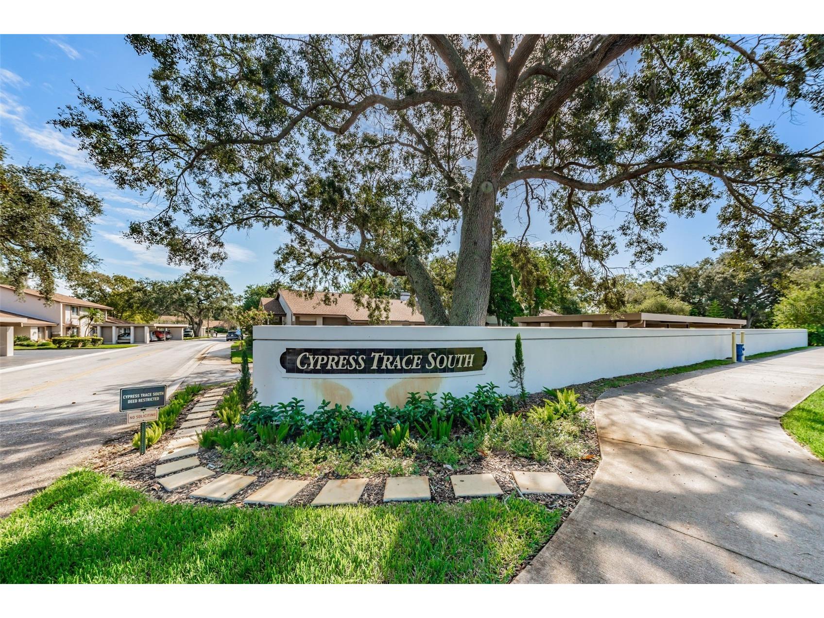 1720 Cypress Trace Drive Safety Harbor FL 34695 TB8506401 image60
