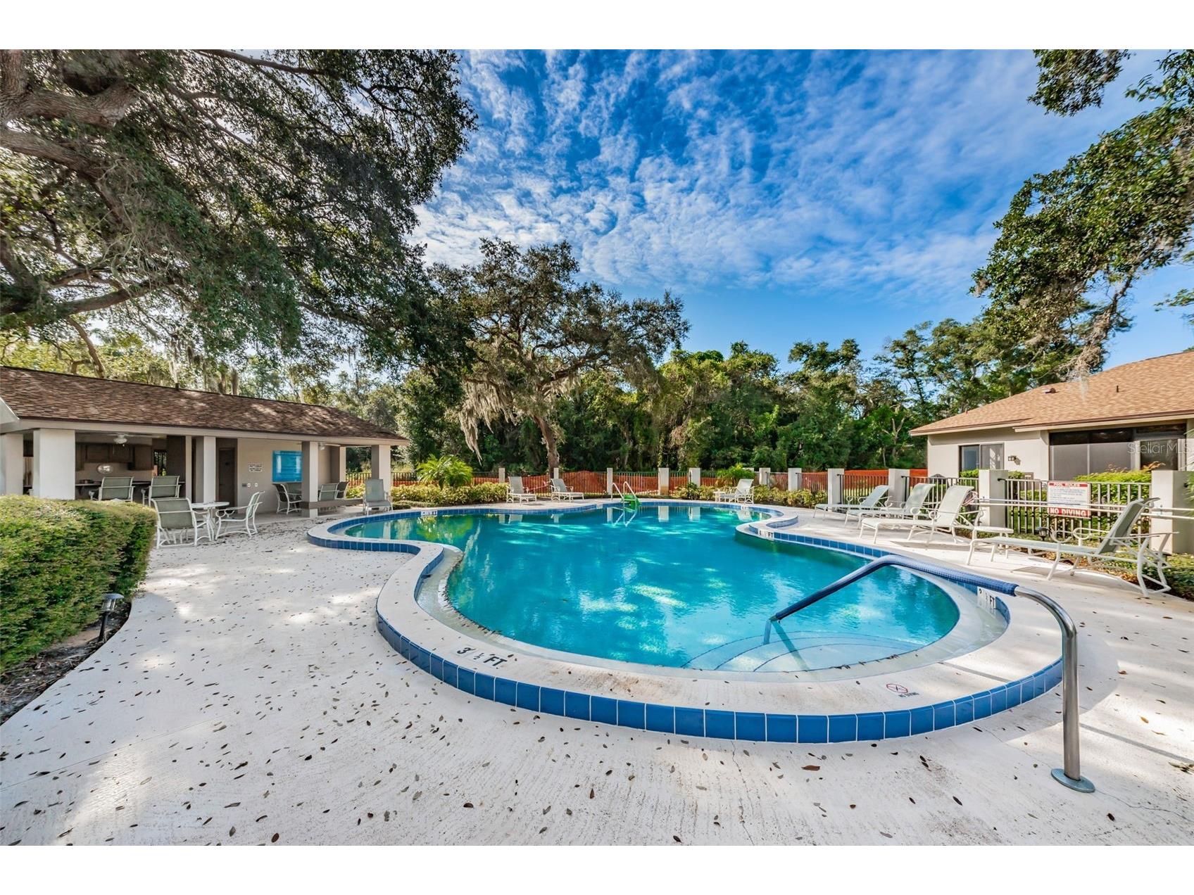 1720 Cypress Trace Drive Safety Harbor FL 34695 TB8506401 image61