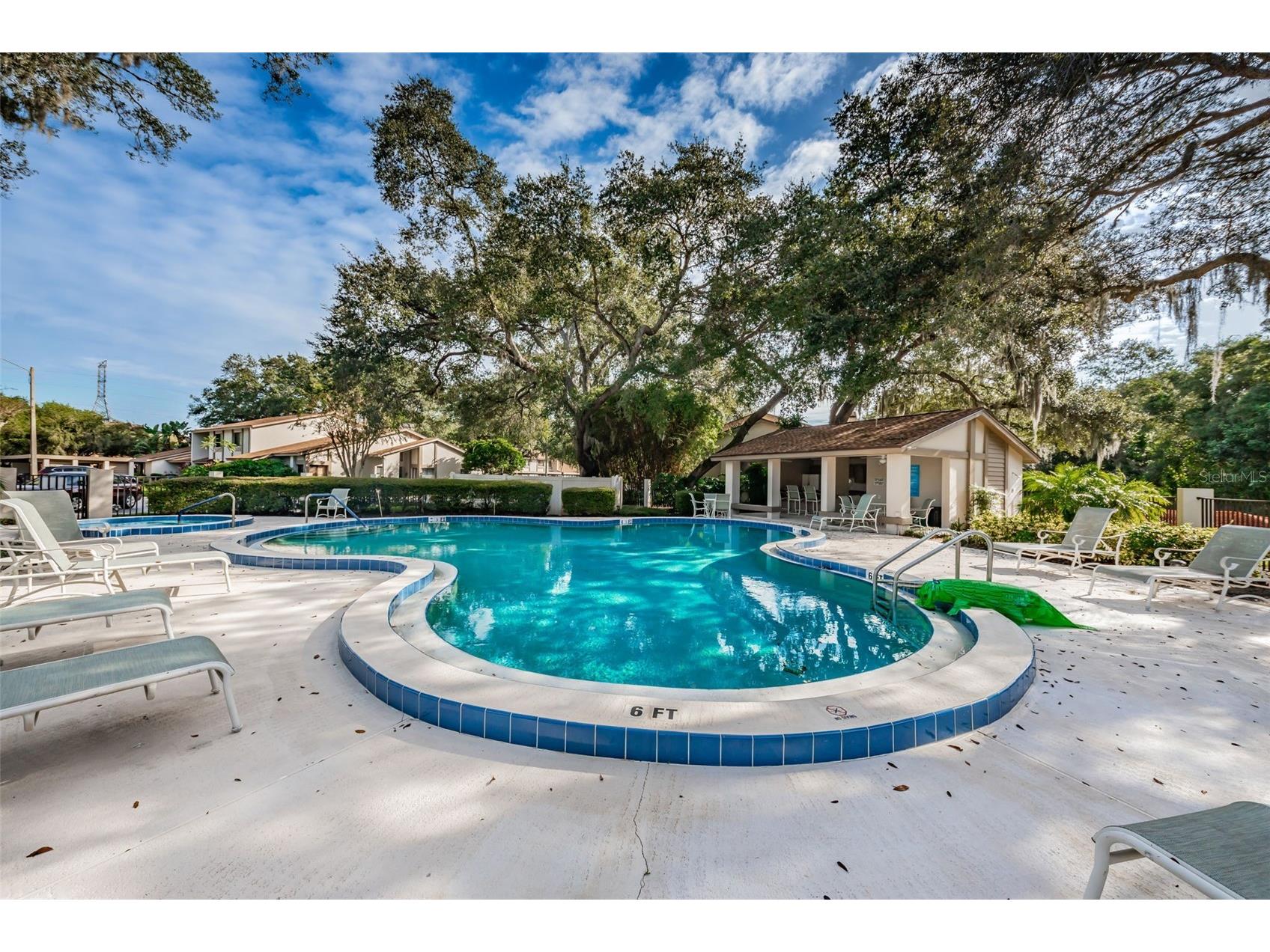 1720 Cypress Trace Drive Safety Harbor FL 34695 TB8506401 image63