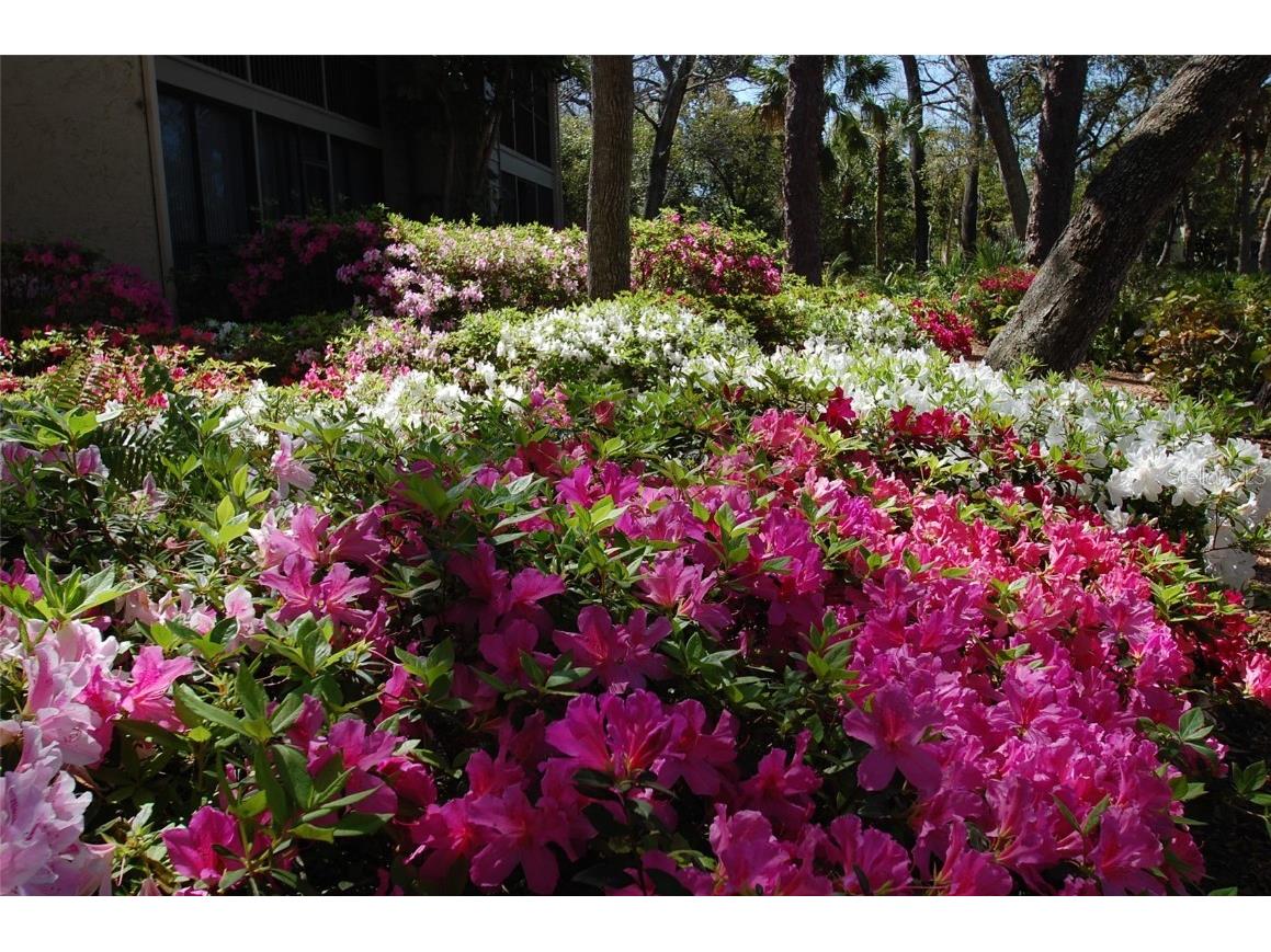 1720 Glenhouse Drive #GL429 Sarasota FL 34231 A4610522 image23