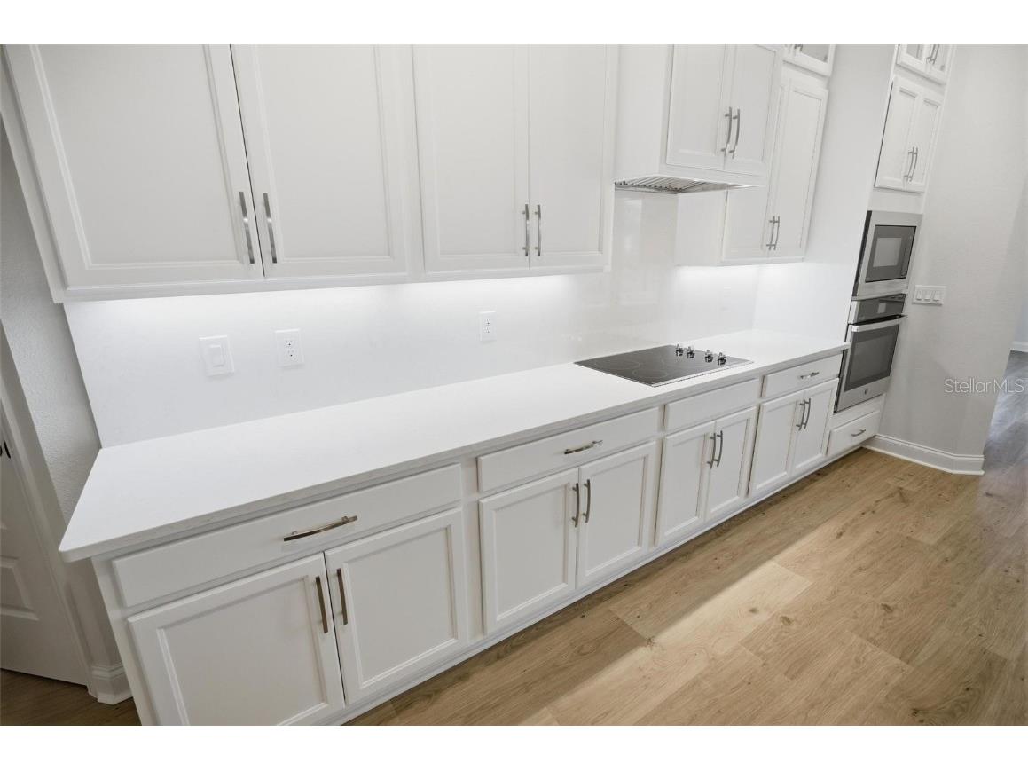 1720 Lake Reserve Drive Deland FL 32724 FC308987 image14